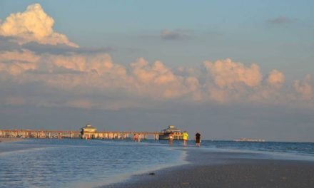 Island hopping in Fort Myers, Sanibel and Captiva