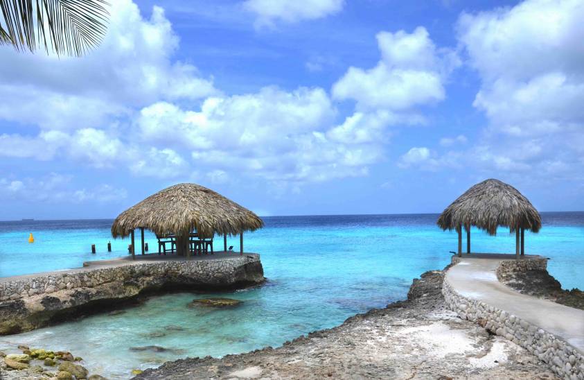 8 Reasons Why You Should Visit Bonaire