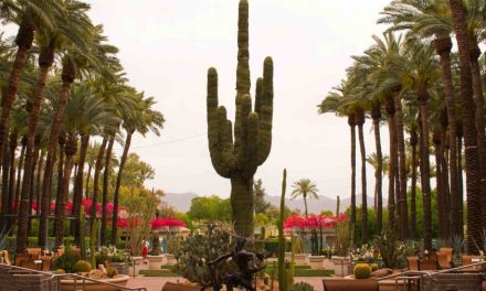 Day-cation in The Desert at Hyatt Regency Scottsdale Resort and Spa at Gainey Ranch