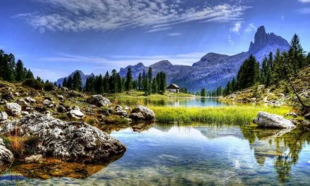 5 Tips For Staying Healthy On The Road
